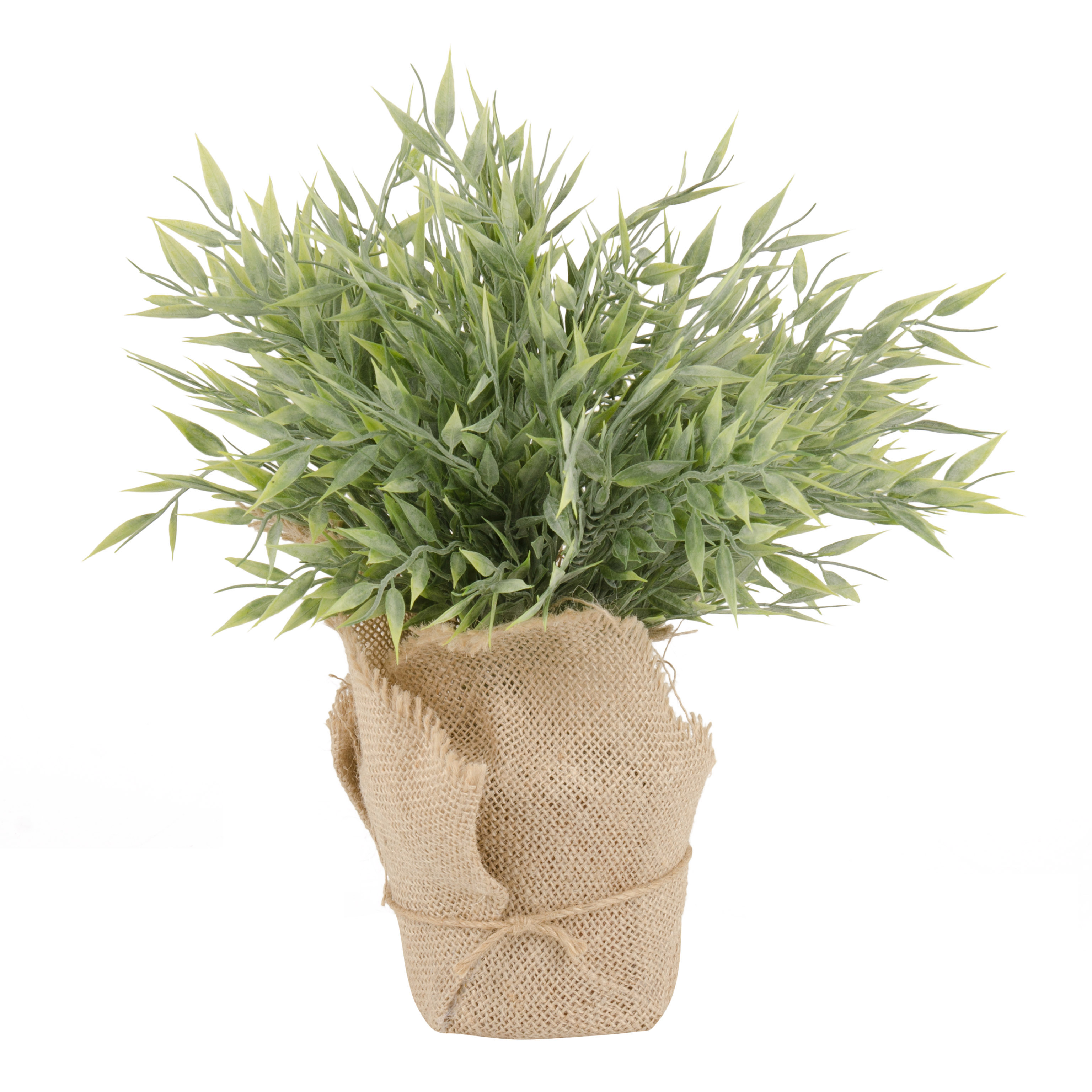 placeholder image-sq